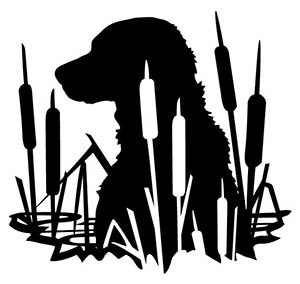 Black silhouette of a dog's head and neck in water with cattails surrounding it.