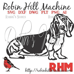Basset Hound