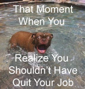 Small brown terrier mix standing in water with mouth open and wide alert eyes.